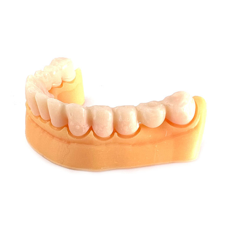 TT810 Temporary Teeth Resin 3