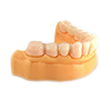 TT810 Temporary Teeth Resin 2